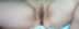 _shaved-wet-pusi2.jpg (33,143 bytes)
