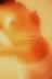 kitty_laceslip09.jpg (13,513 bytes)