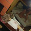 June03 2010 079.JPG
