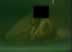 oct1sgguyhiddencam3.jpg (30,040 bytes)