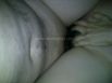 11042010376.jpg